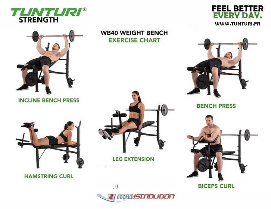 Distributeur OFFICIEL Banc D velopp Compact Quadri Biceps