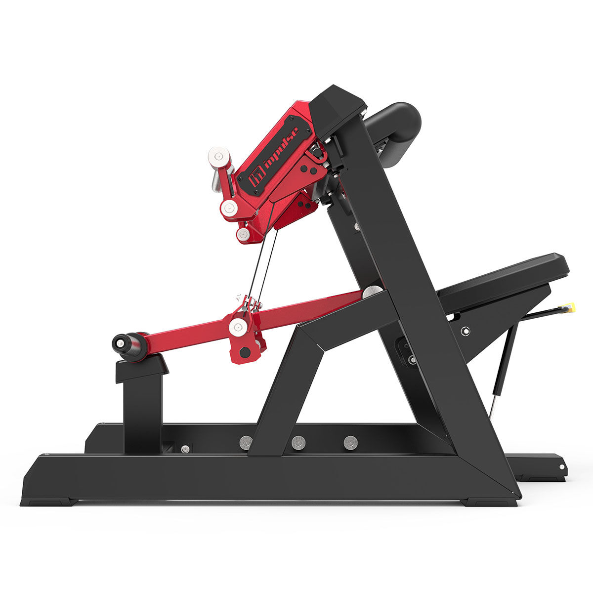 Biceps Curl