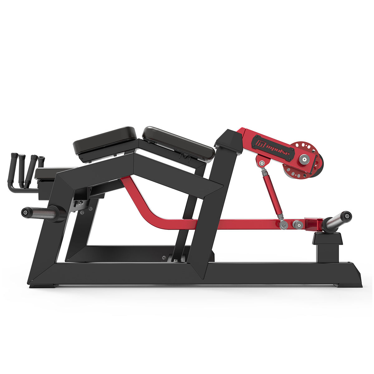 Ischios Couché Prone Leg Curl