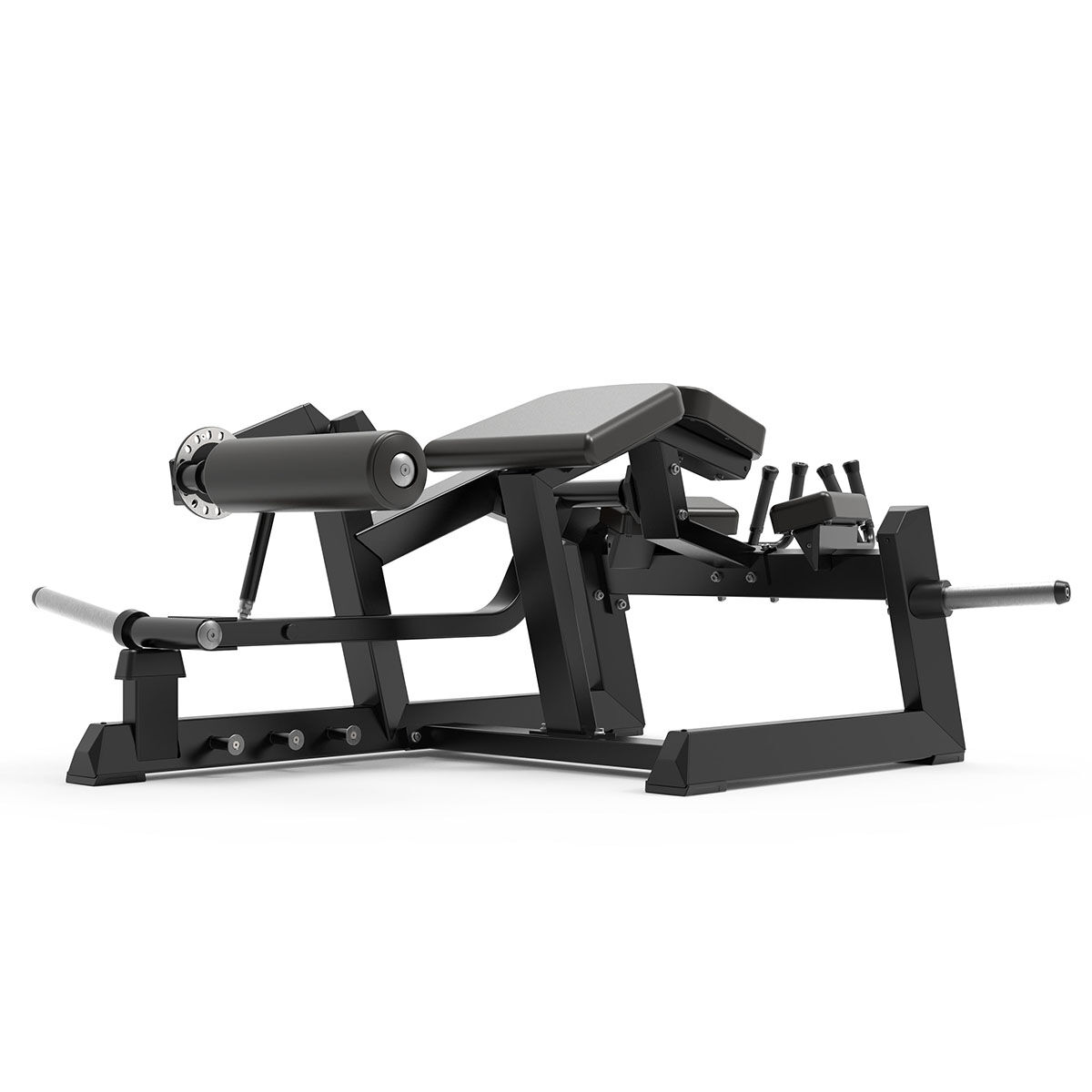Ischios Couché Prone Leg Curl