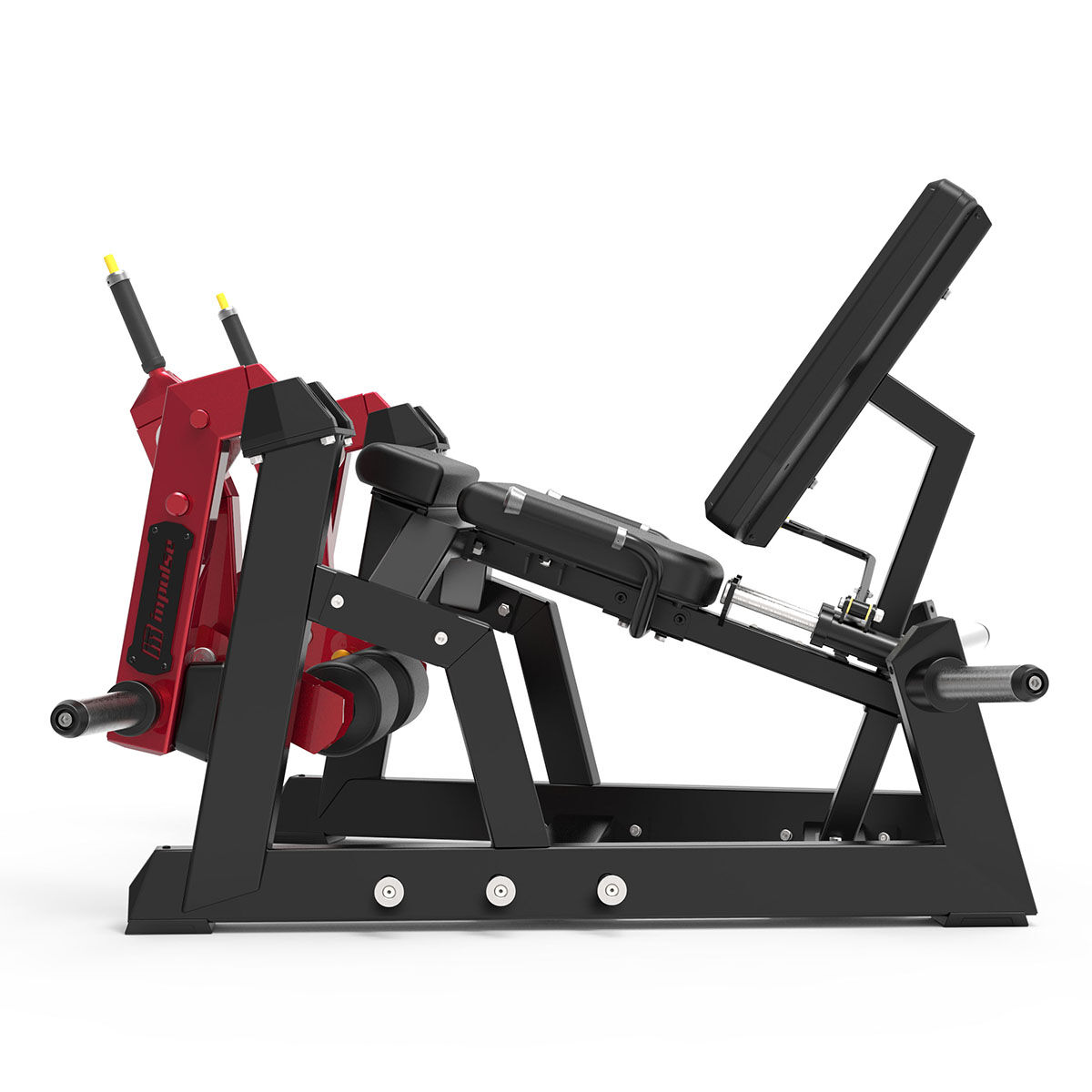 Leg Extension
