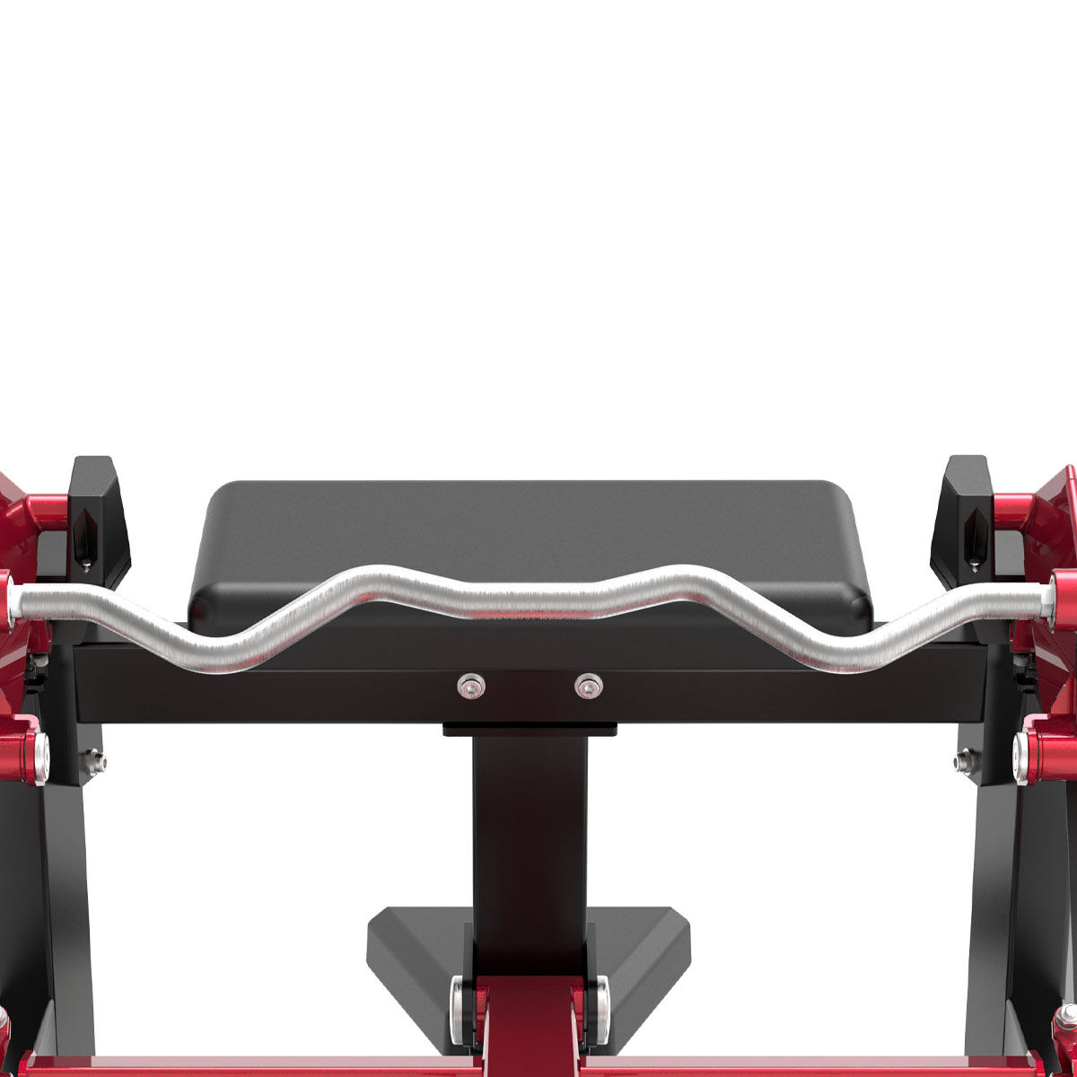 Biceps Curl