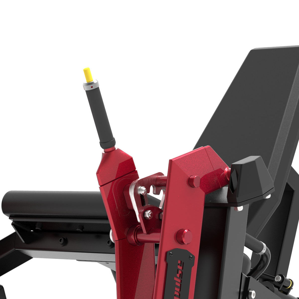 Leg Extension