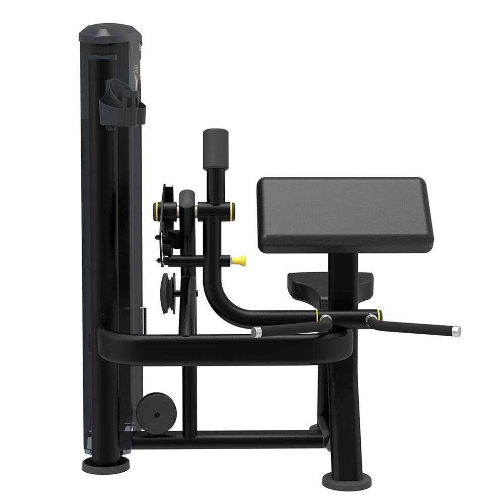 Biceps Curl