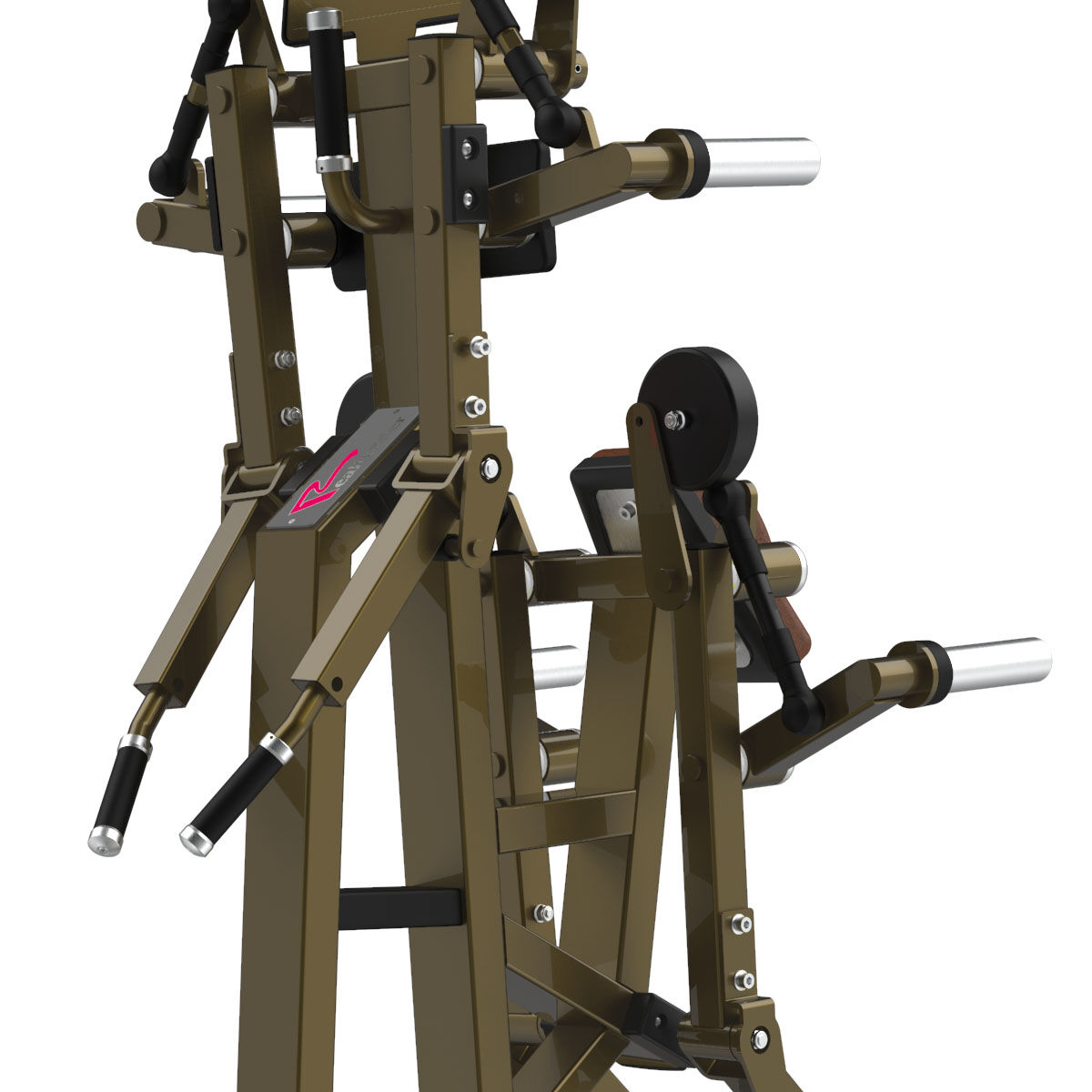 Élévation latérale / Deltoïde arrière