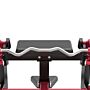 Biceps Curl