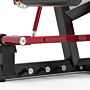 Ischios Couché Prone Leg Curl