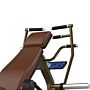 Triceps Extension