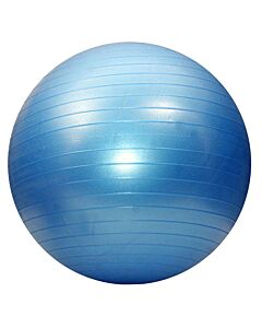 Gymball anti-éclatement 55 cm