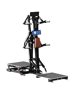 Élévation latérale / Deltoïde arrière