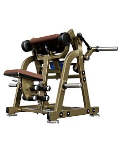 Biceps Curl Assis