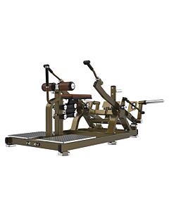 Triceps Extension