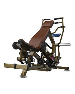 Triceps Extension